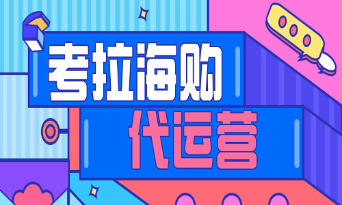 <b>考拉海購代運(yùn)營公司介紹</b>