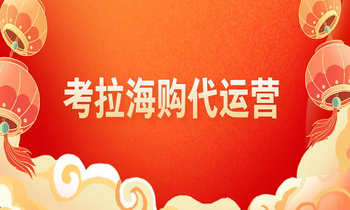 <b>考拉海購代運(yùn)營服務(wù)有哪些？</b>